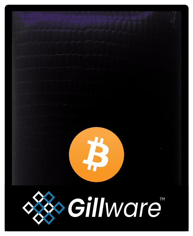 欧宝娱乐百科张信哲代言博彩 欧宝娱乐gillware-data-recovery-btc-wallet-what-is-a-bitcoin-wallet-bitcoin-graphic